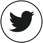 twitter custom button